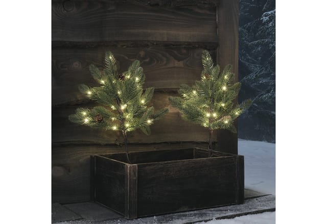 2er Set 18cm LED Stableuchten Tannenbäume mit Tannenzapfen