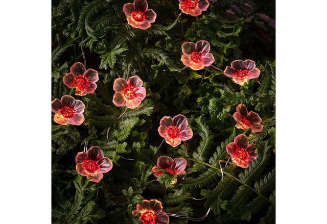 20er LED Micro Lichterkette außen pinke Kirschblüten