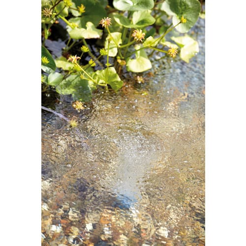 Oase Aqua-Oxy 1000 Professionelle Teich Belüftungspumpe