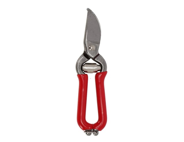 Obst- & Blumenschere Gartenschere Rot 14cm