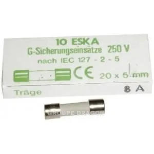 Zeitverzögerte Sicherung Moulinex 8 Amp Überlastschutz