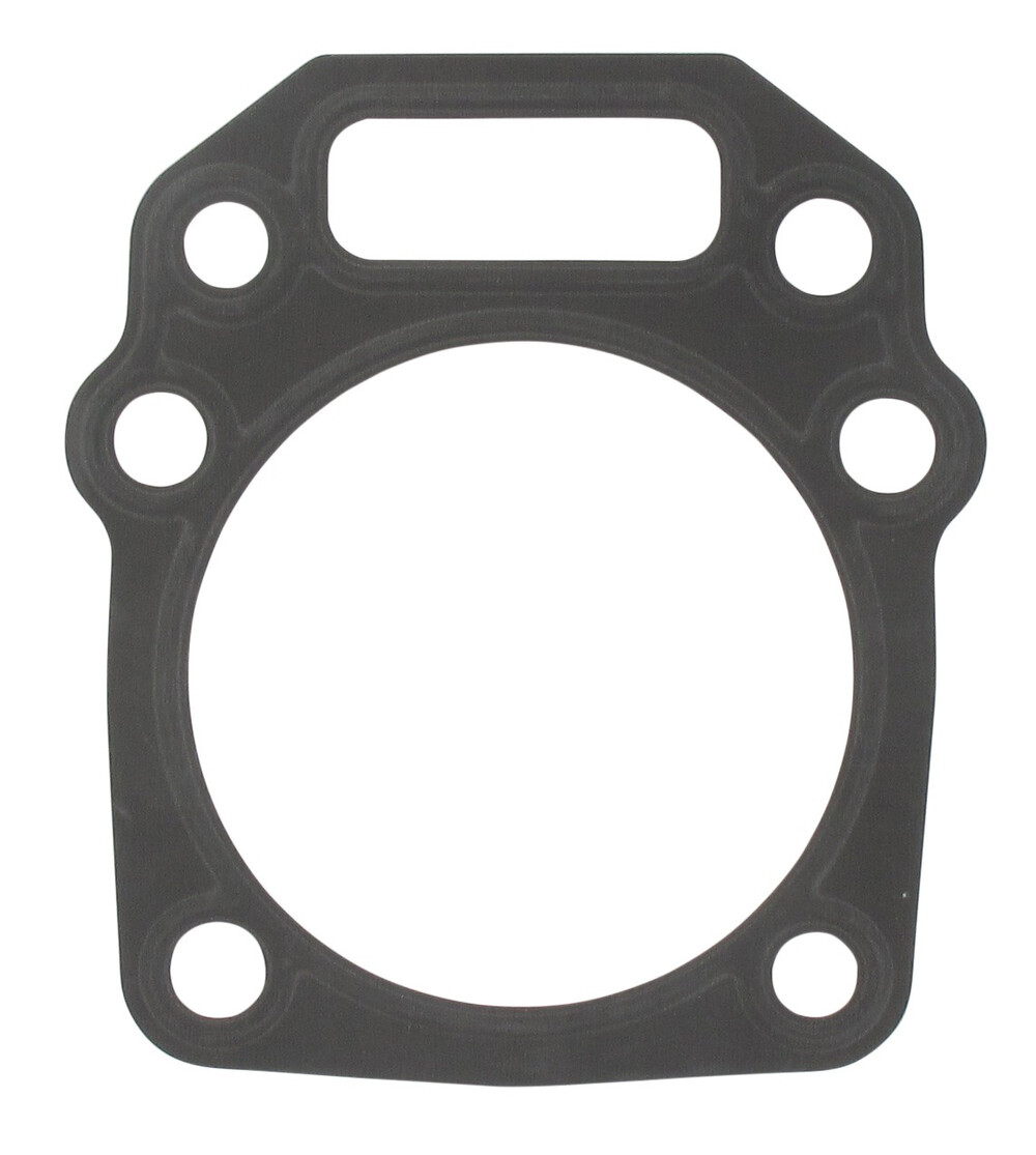 O-ring Zylinderkopfdichtung Mtd 751-15673