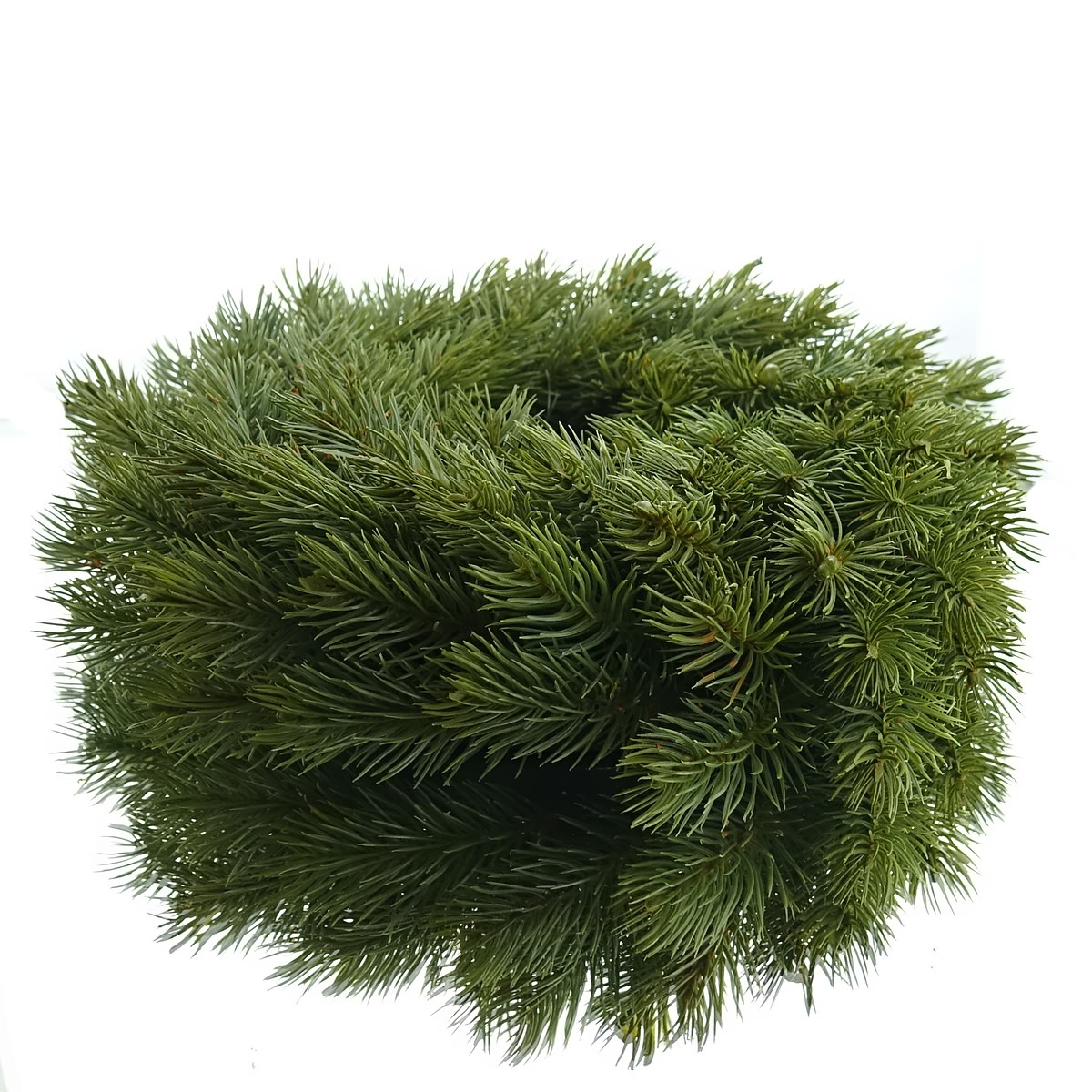 Adventskranz Tanne Grün Ø 38 Cm - Kunstpflanzen - Gasper