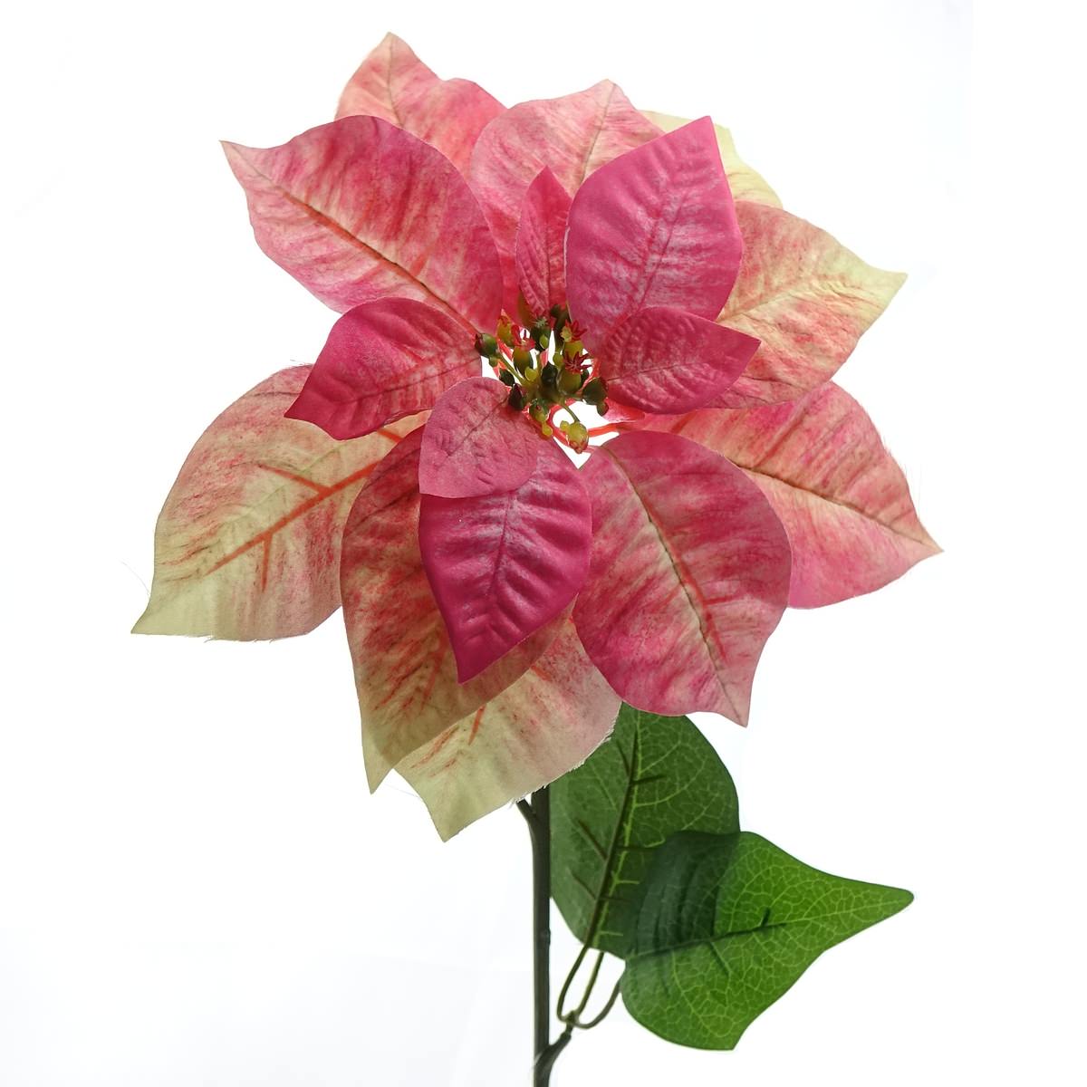 Weihnachtssternblüte Poinsettie Creme & Rosa 65 Cm - Kunstblumen