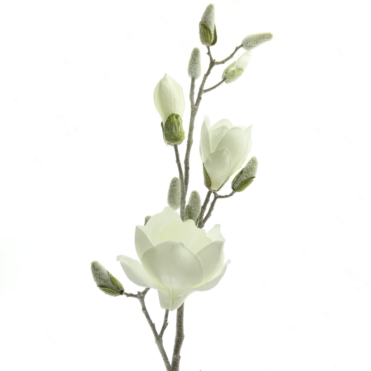 Magnolienzweig Weiß Geeist 80 Cm - Kunstblumen