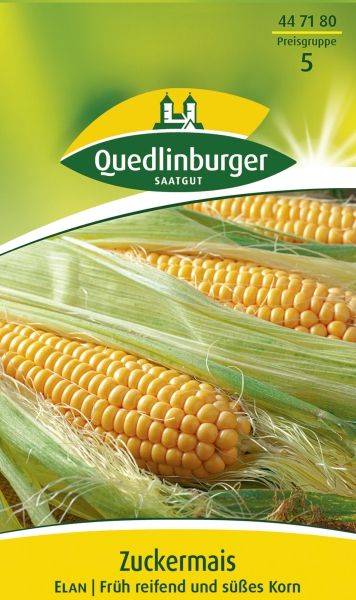 Quedlinburger Zuckermais Elan - Gemüsesamen
