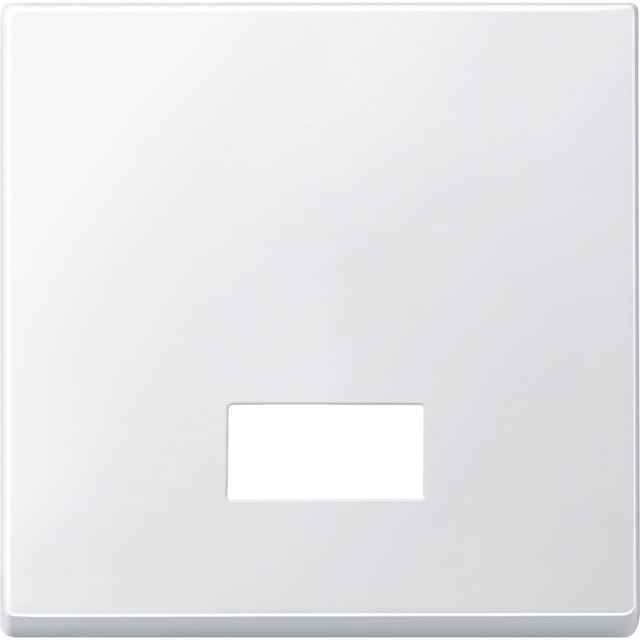 Wippe Symbol Fenster rechteckig Kontrollschalter- und Taster-Einsatz Typ 433819