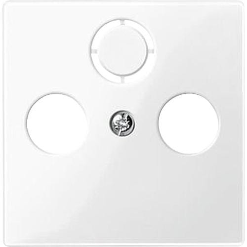 Zentralplatte für Antennendose, glänzend, Thermoplast, Unterputz, Typ 296719