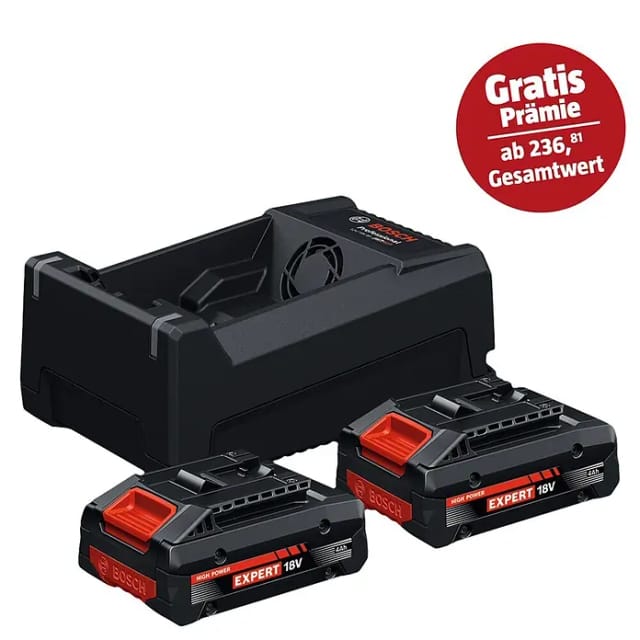 EXPERT Starter-Set 2x EXBA 18V-40 + Dual-Voltage-Ladegerät GAL 12V/18V-80