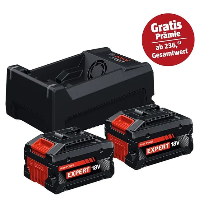 EXPERT Starter-Set 2x EXBA 18V-55 + Dual-Voltage-Ladegerät GAL 12V/18V-80