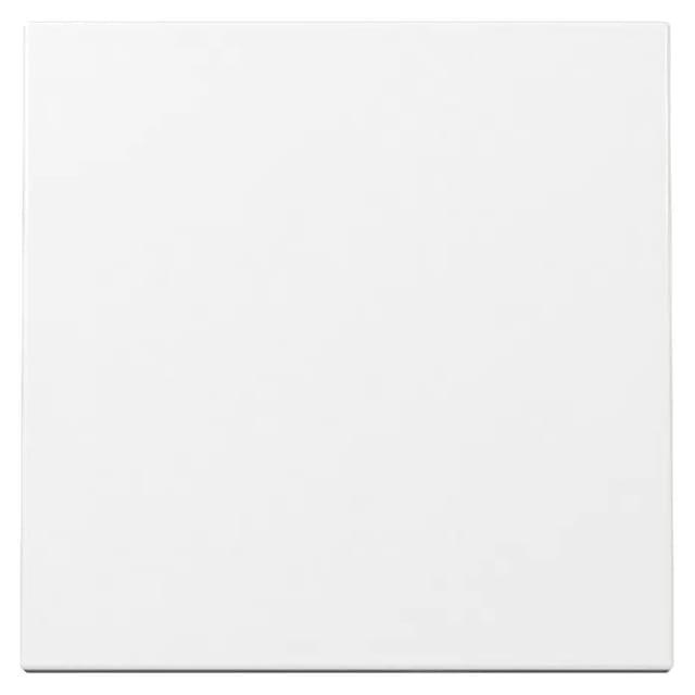 Wippe einteilige Ausführung, glänzende Oberfläche, Kunststoff, Schutzart IP20