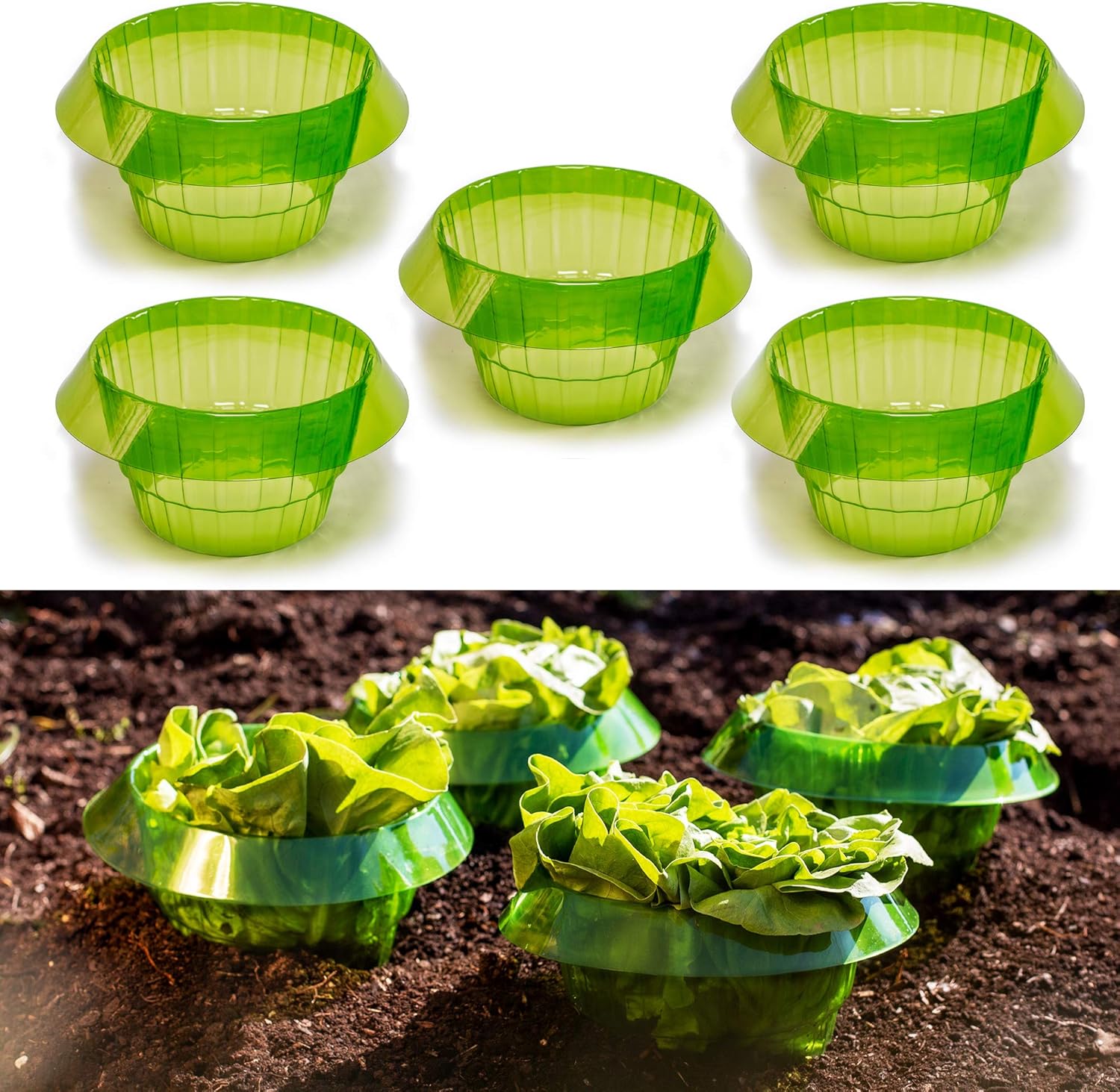 Aougo – 5-teiliger Schneckenschutzring – Salatabdeckung Aus Kunststoff – Oberer Durchmesser 24 Cm – Optimiert Das Pflanzenwachstum