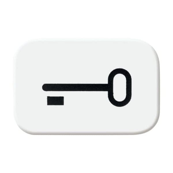Tastersymbol ausschaltwippe 2525 TR-214, Schlüssel