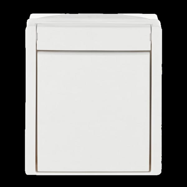 Kreuzschalter 2601/7 W-54