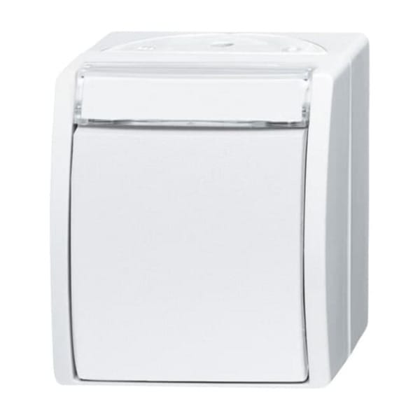 Wechselschalter 2601/6 Wippe mit Komplettgehäuse