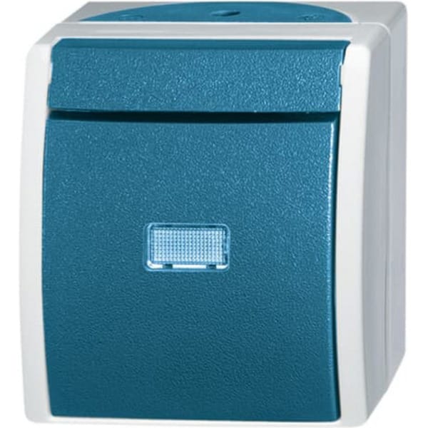 Wechselschalter 2601/6 Wippe mit Komplettgehäuse Aufputz