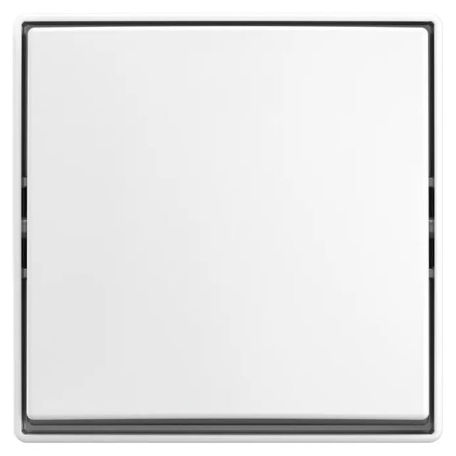 Busch-J. Wippschalter AP 2601/6 J-524