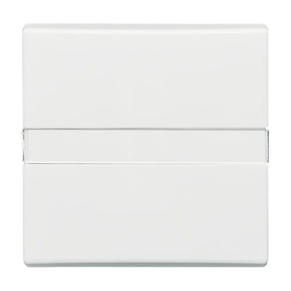 Wippe Auswechsel mit Beschriftung 2106 N-34