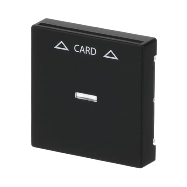 Zentralscheibe für Cardschalter mit Symbolik und Kalotte