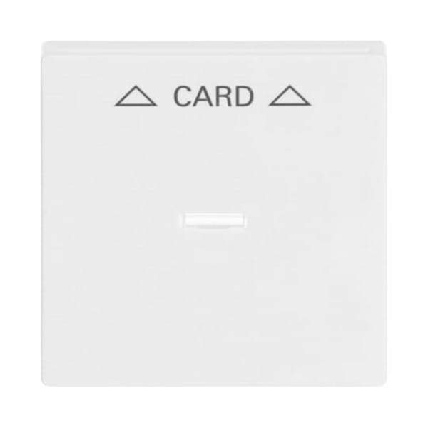 Zentralscheibe für Cardschalter 1792-84