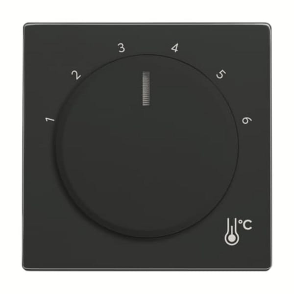 Zentralscheibe Temperatur rund 1794 R-81, Thermostat