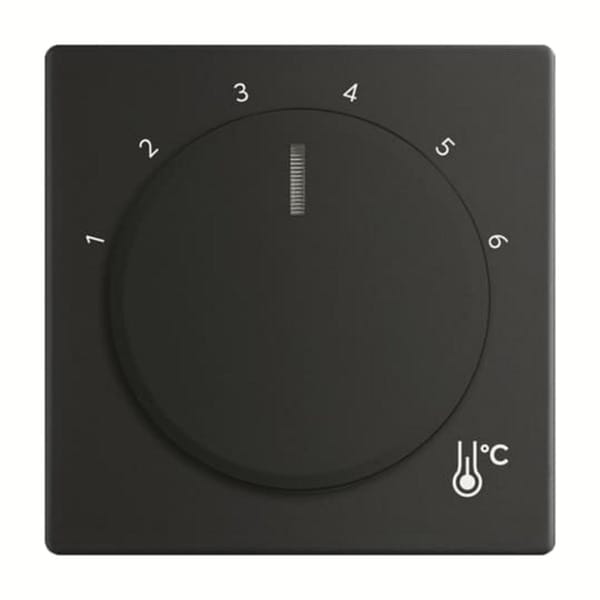 Zentralscheibe Temperatur rund 1794 R-885, Thermostat