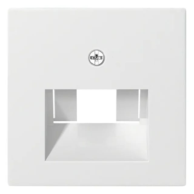 GIRA Zentraleinsatz rws-gl f.UAE-IAE-Anschluá 027003, Zentralplatte