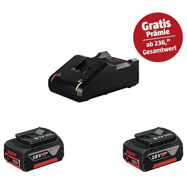 PRO Starter-Set 18V (2x GBA 18V 4,0Ah + GAL 18V-40 Professional), Ladegerät