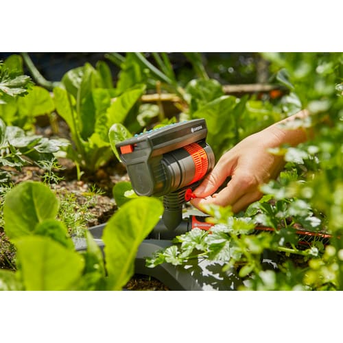 Viereckregner AquaZoom compact