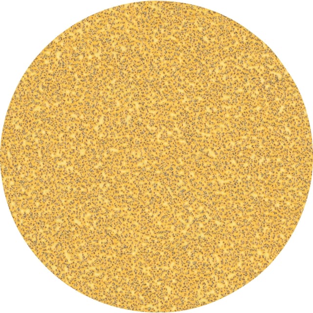 Expert C470 Schleifblatt, Ø 125mm, K40 ungelocht