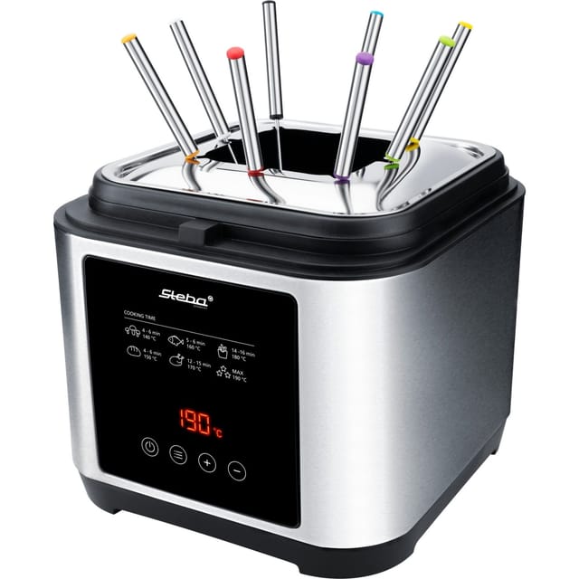 Fritteuse und Fondue DF 150F