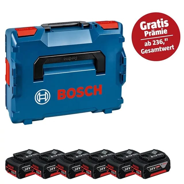 PRO Akku GBA 18V 4.0Ah Professional, 6 Stück