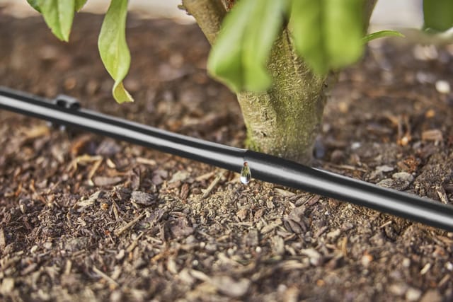 Micro-Drip-System Tropfrohr für Büsche/Hecken 1,6 l/h, 25 Meter, Tropfer