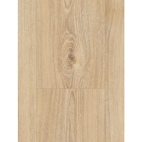 PARADOR Laminat »Basic 200«, Eiche, LxBxS: 1285 x 194 x 7 mm - braun