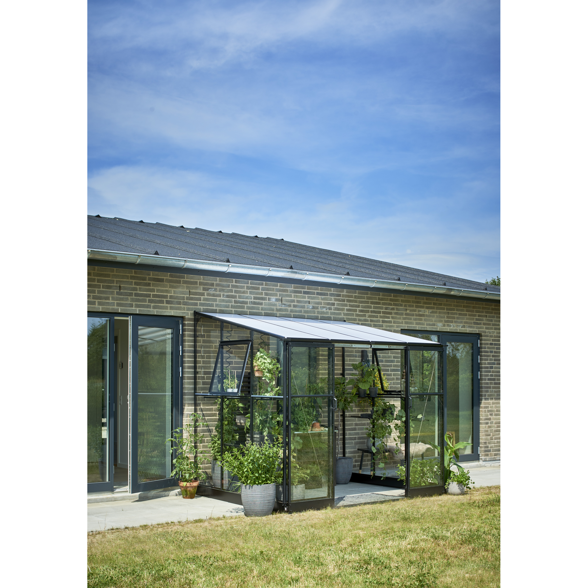Halls Anlehngewächshaus 'Qube Lean-to 68' 188 x 251 cm mit 3 mm Sicherheitsglas schwarz