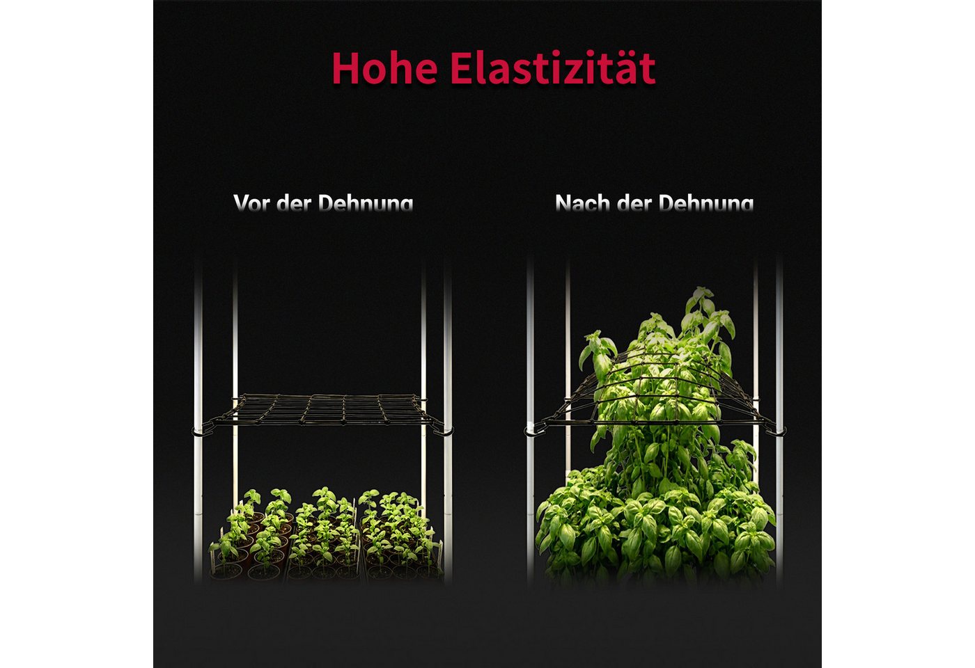 CannoBox Spalier Wachszelt Netz Rankhilfe Elastisches Pflanzenzeltnetz für Growbox, 4 Haken, 10x10 cm Maschen, Elastische 3 mm Fäden