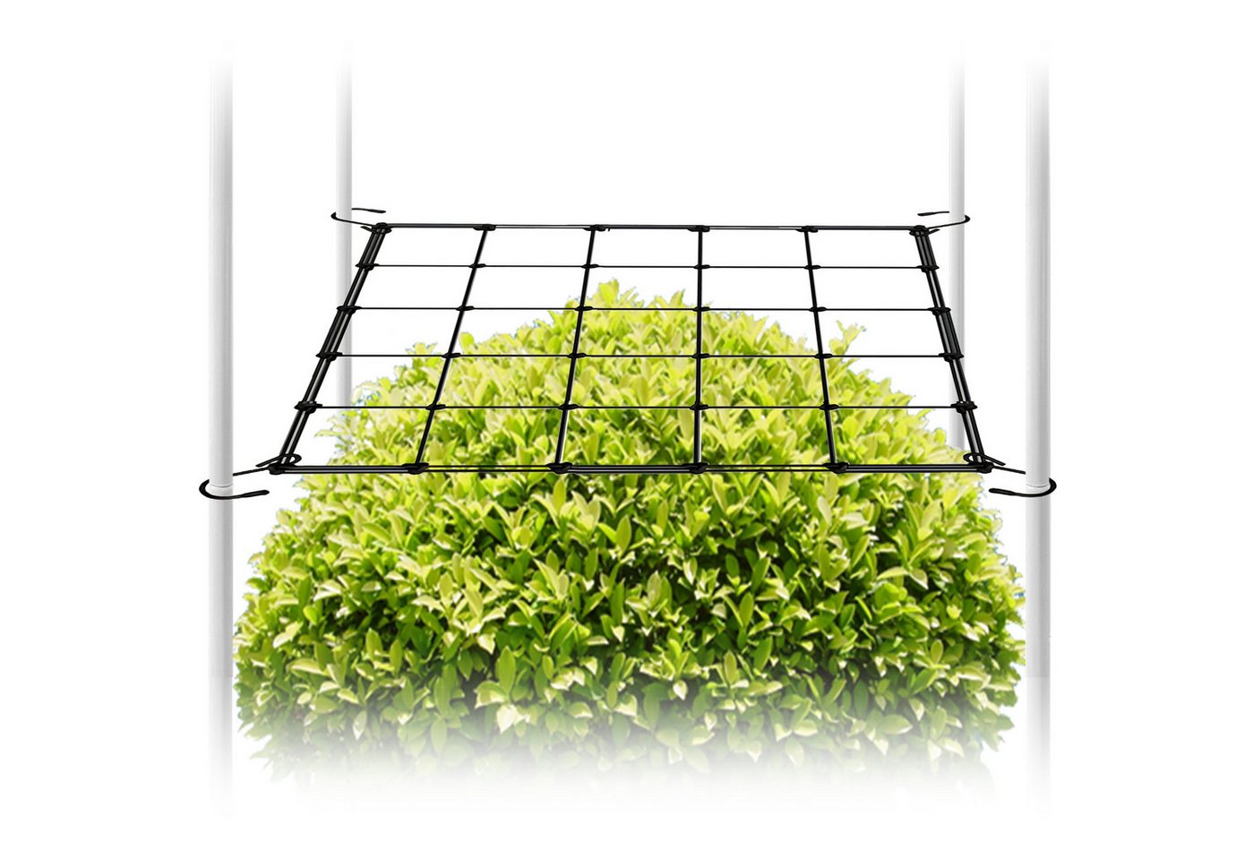 CannoBox Spalier Wachszelt Netz Rankhilfe Elastisches Pflanzenzeltnetz für Growbox, 4 Haken, 10x10 cm Maschen, Elastische 3 mm Fäden Bild 4