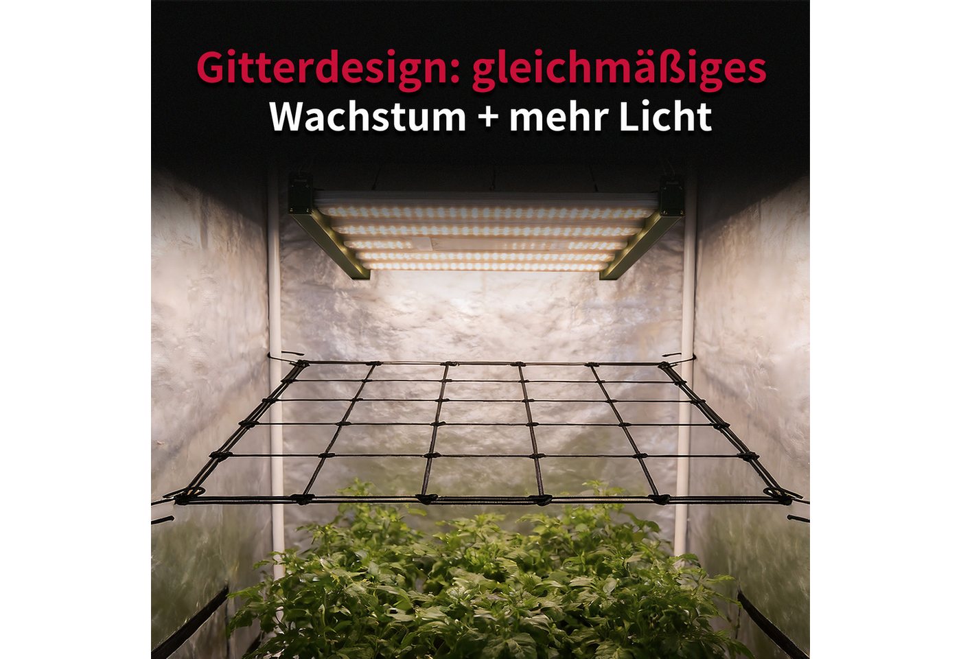 CannoBox Spalier Wachszelt Netz Rankhilfe Elastisches Pflanzenzeltnetz für Growbox, 4 Haken, 10x10 cm Maschen, Elastische 3 mm Fäden Bild 5