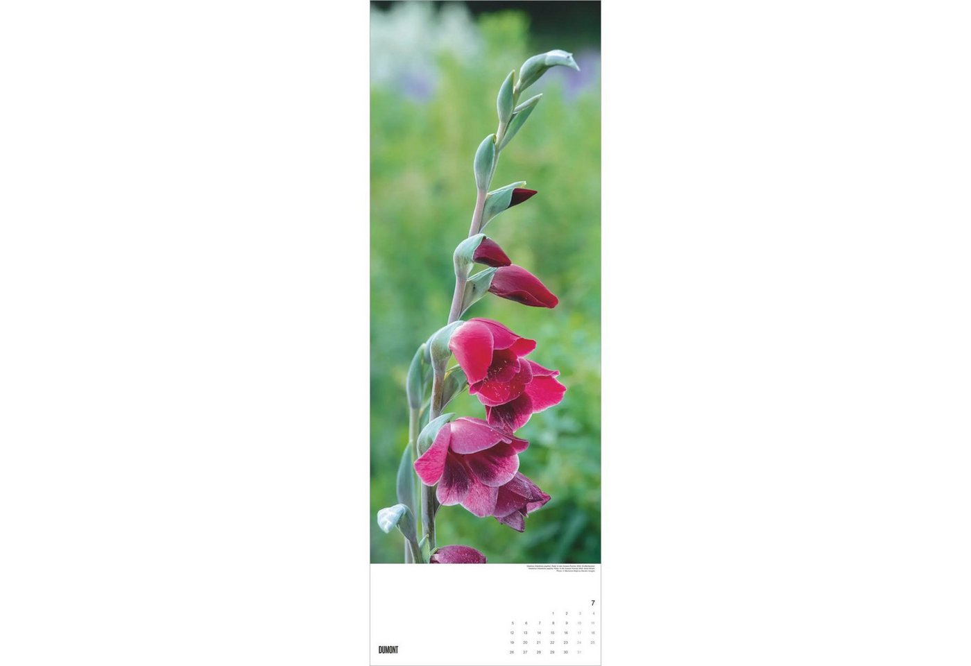 Wandkalender Gärten 2027
