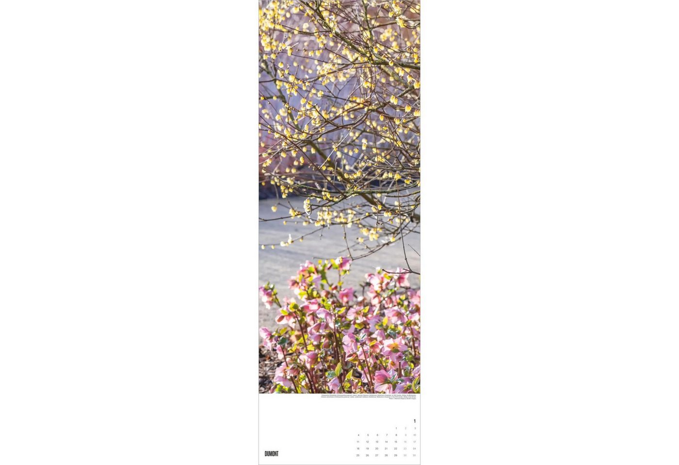 Wandkalender Gärten 2027 Bild 3