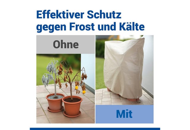 Maximex Pflanzenschutz, Breite: 240 cm, Länge: 200 cm - beige