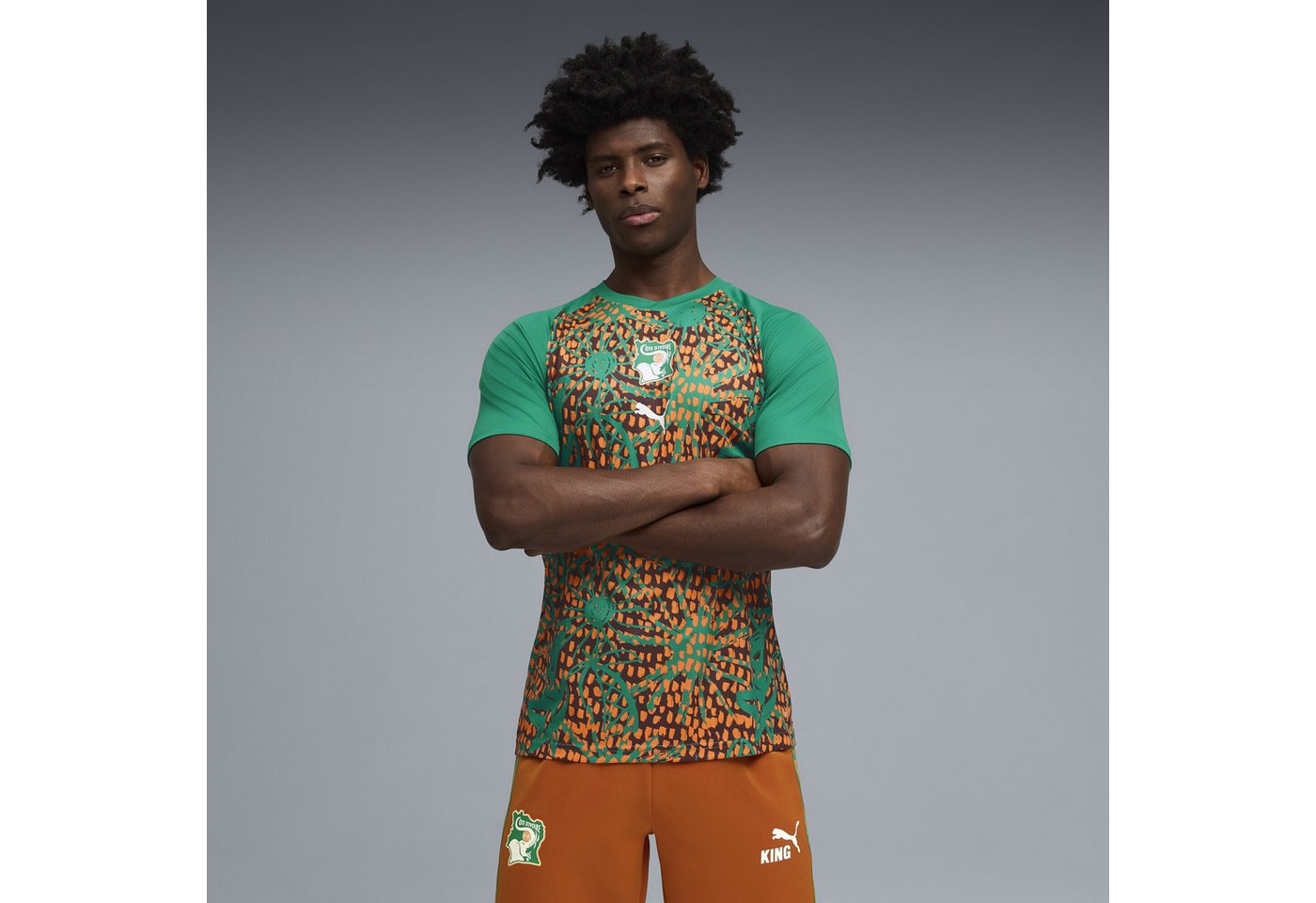 PUMA Trainingsshirt Elfenbeinküste Aufwärmtrikot Herren Bild 3