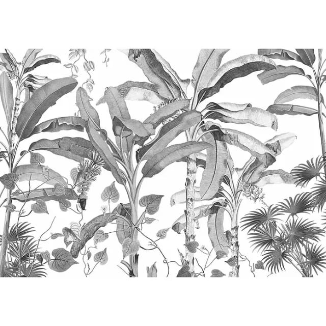 KOMAR Vliestapete, Blumen, bunt - schwarz