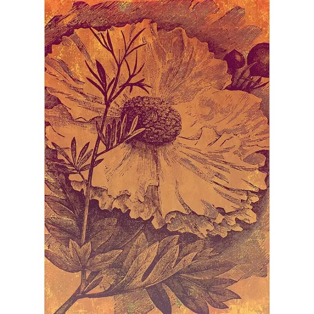 KOMAR Vliestapete, Blumen, bunt - rot