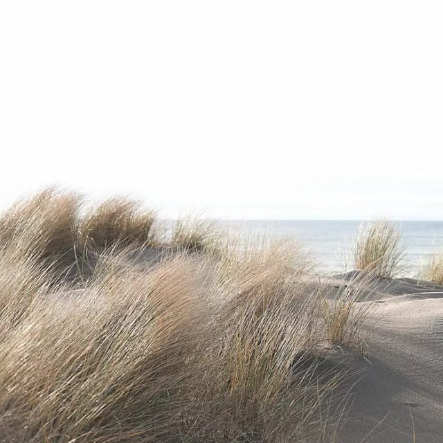 marburg Vliestapete »Smart Art Easy«, Strand, beige
