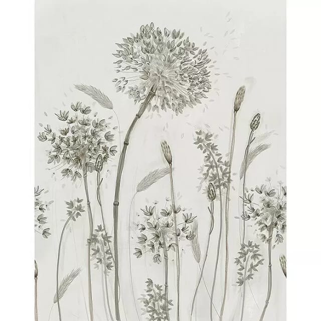 SCHÖNER WOHNEN KOLLEKTION Vliestapete, Pusteblume, greige - beige