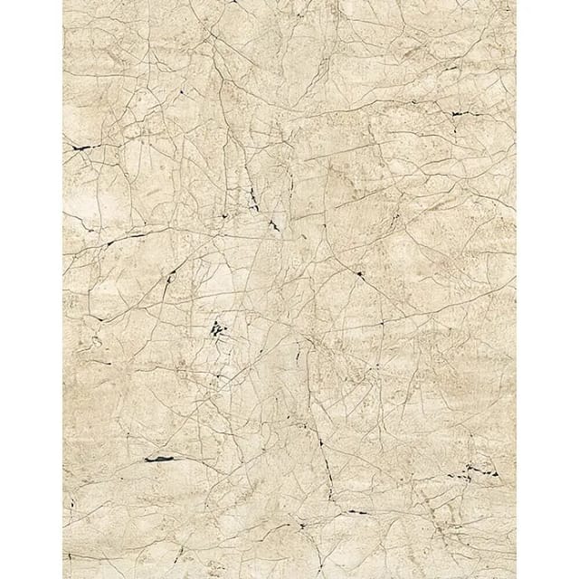 SCHÖNER WOHNEN KOLLEKTION Vliestapete, Marmoroptik, beige