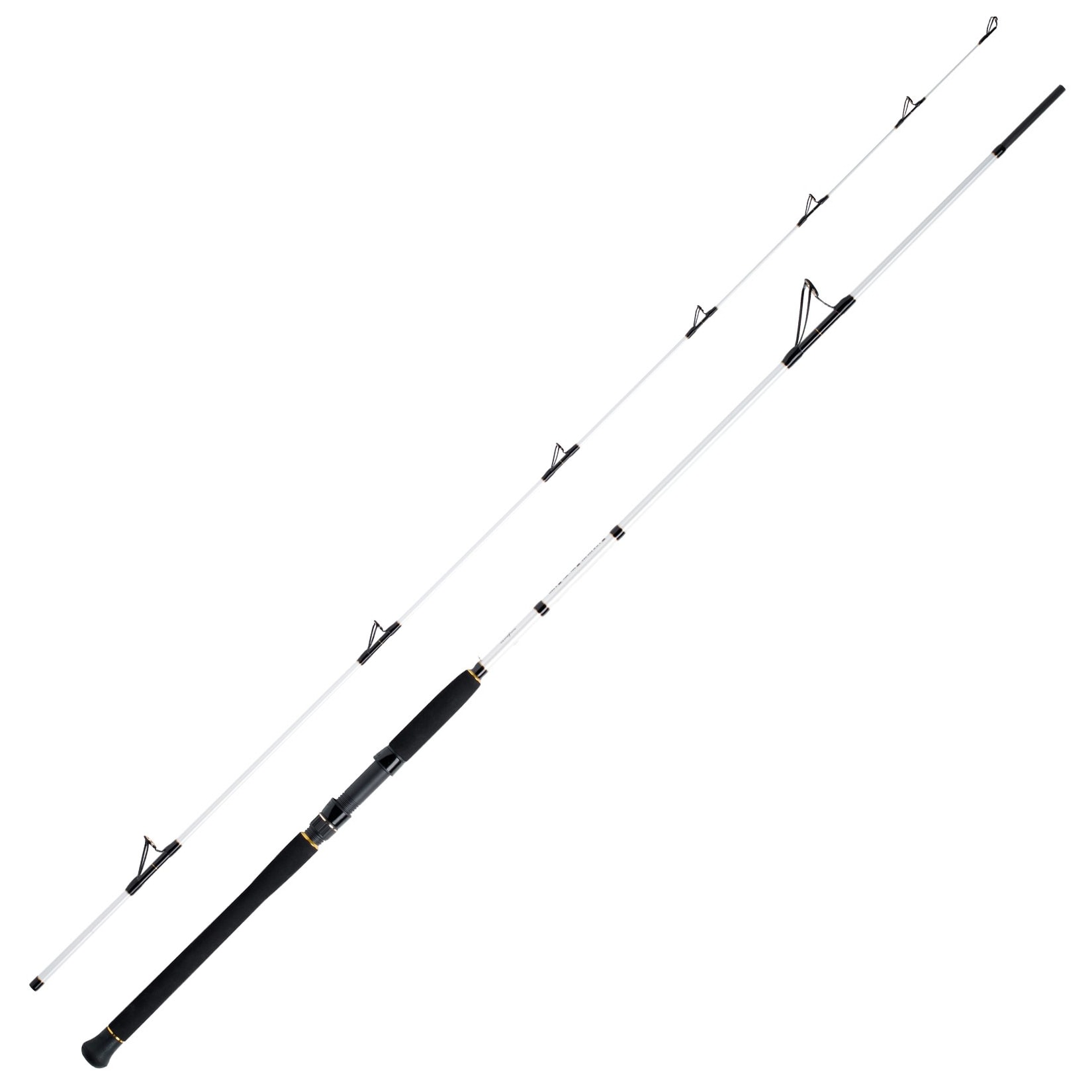 WFT Pollack Jigger Salzmeister 2,65m 20-90g Meeresrute 2-Teilig