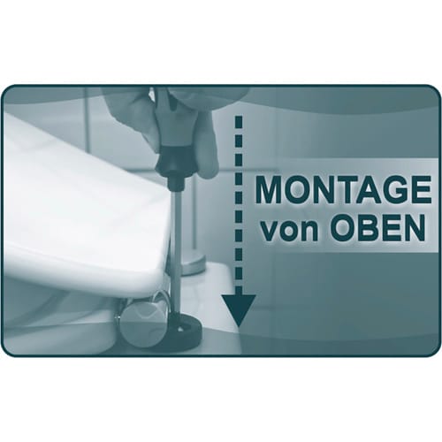 CORNAT WC-Sitz »KIRSCHBLÜTE«, Thermoplast, oval, mit Softclose-Funktion - bunt
