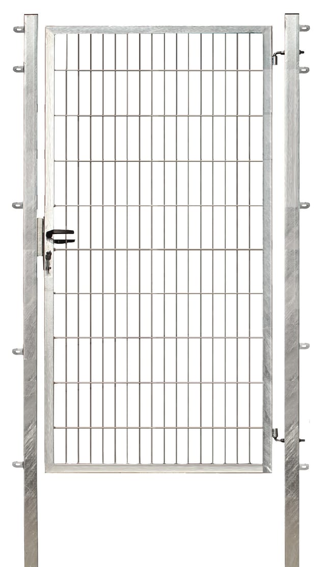 FLORAWORLD Einzeltor »comfort«, Türmaße BxH: 100 x 200 cm - silberfarben